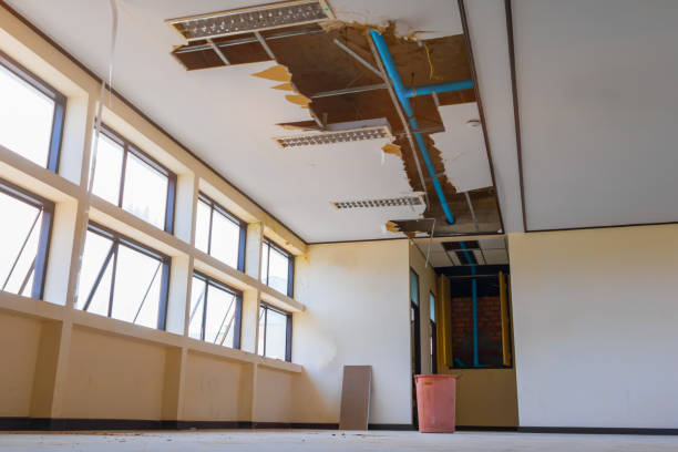 Best Basement water damage restoration  in Williston, FL