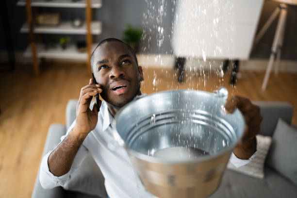 Best Local water damage restoration  in Williston, FL