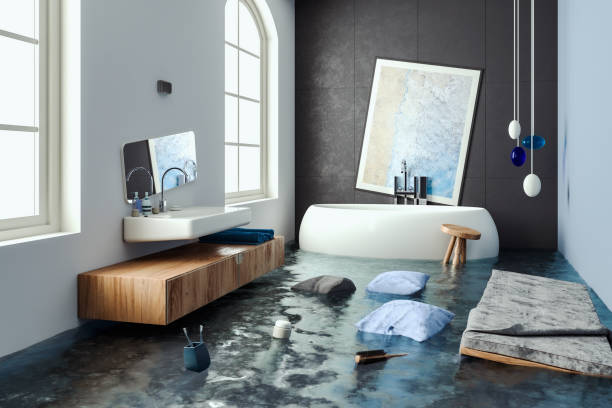 Best Professional water damage repair  in Williston, FL