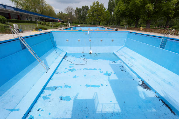 Best Flood damage cleanup  in Williston, FL