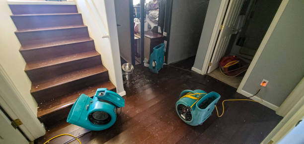  Williston, FL Water damage restoration Pros