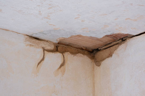 Best Sewage cleanup and water damage restoration  in Williston, FL