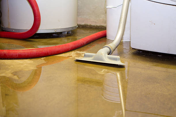 Best Commercial water damage restoration  in Williston, FL