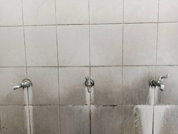 Best Local water damage restoration  in Williston, FL