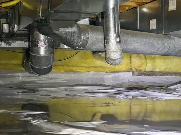 Best Water damage restoration experts  in Williston, FL