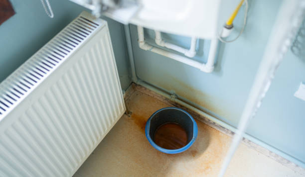 Best Water damage cleanup near me  in Williston, FL