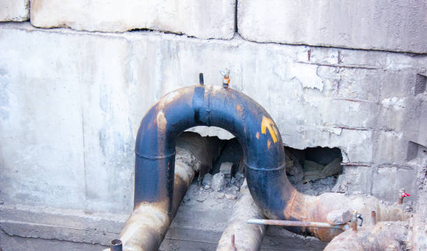 Best Flood damage cleanup  in Williston, FL