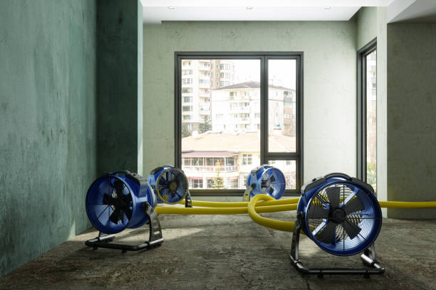 Best Local water damage restoration  in Williston, FL