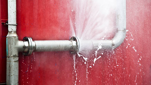 Best Flood restoration services  in Williston, FL